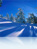 Красивое картинго